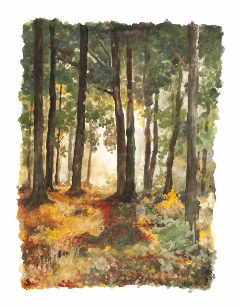 Naturlig vannbasert maling | 6 farger